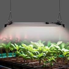 Lampes horticoles