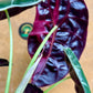 Alocasia watsonia pink variegata M